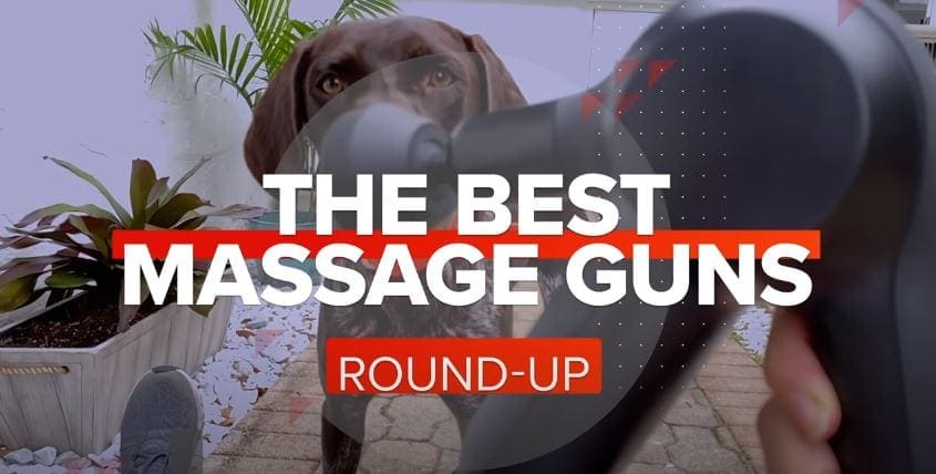 The Best Massage Guns Of 2021 Strong Chimp 