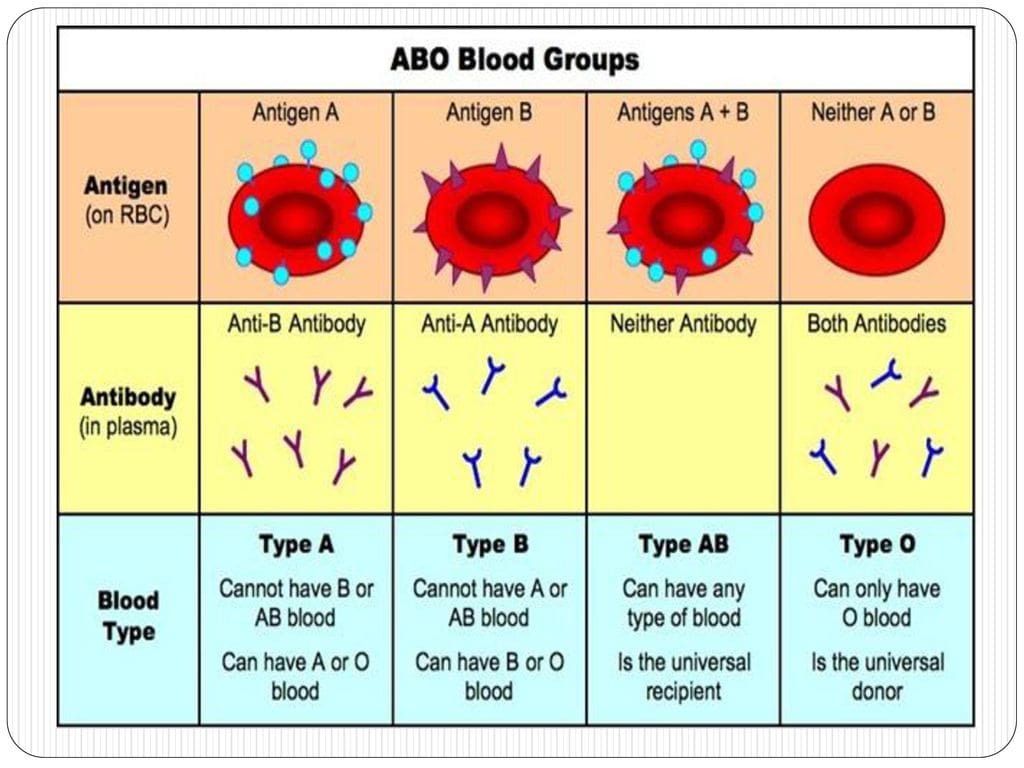 New Blood Groups Discovered